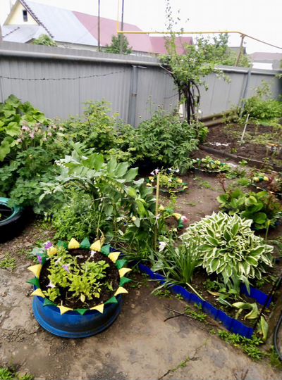 Дом 79,6 м² на участке 6,9 сот.