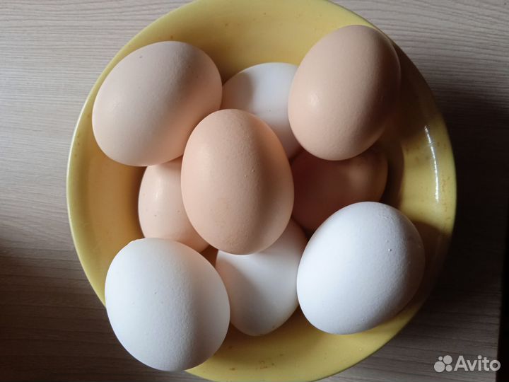Домашние куриные яйца
