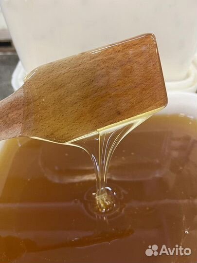 Мёд натуральный липовый. 2023г оптом