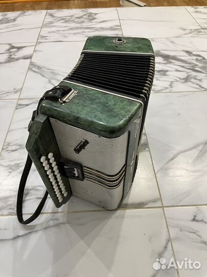 Баян Беларусь