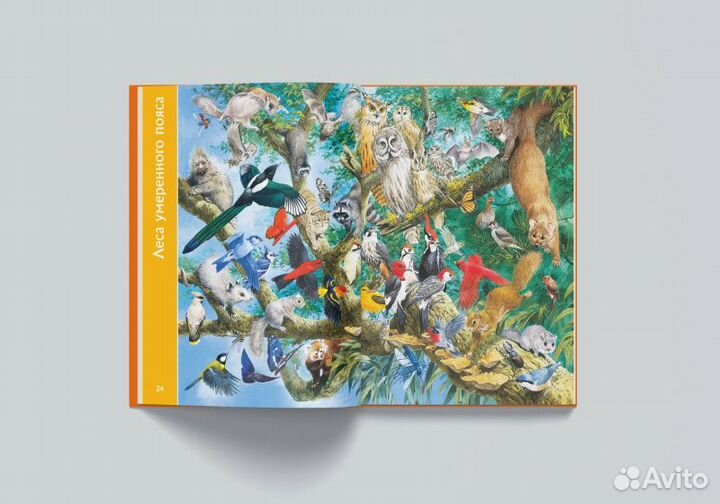 Книга для говорящей ручки знаток 