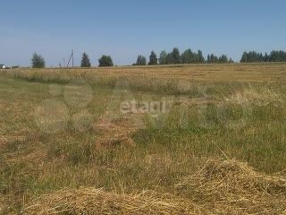 Участок 1,9 га (СНТ, ДНП)