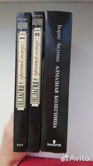 Борис Акунин