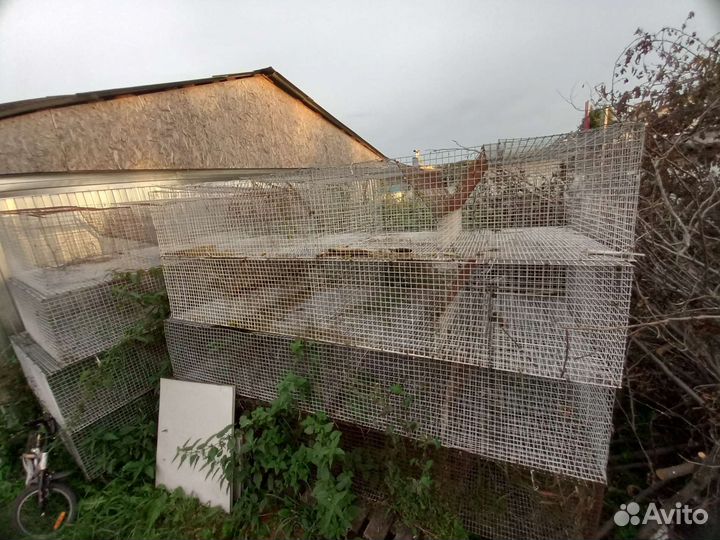 Клетки для кроликов