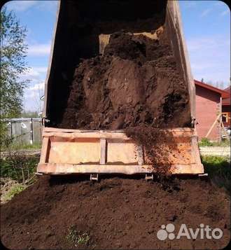 Конский перегной, навоз