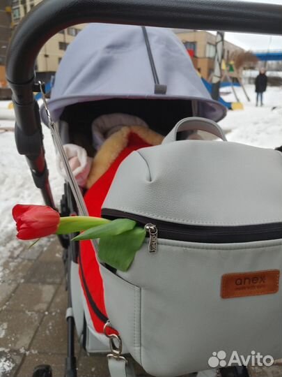Коляска anex cross 3 в 1
