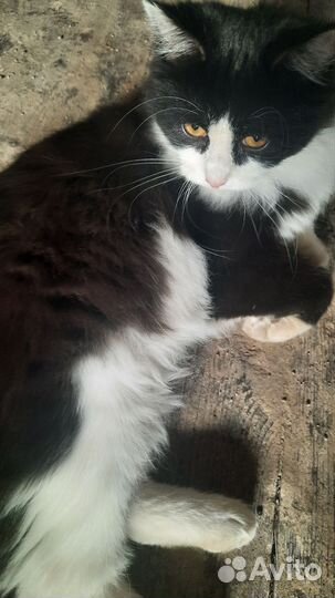 Мальчику 4 месяца