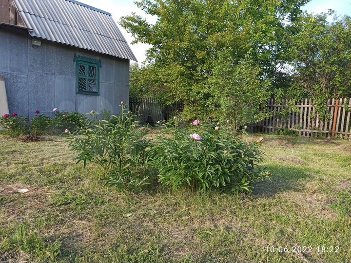 Дача 20 м² на участке 5 сот.