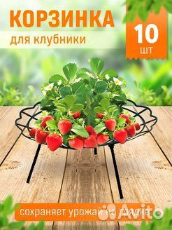Кустодержатель для клубники (набор из 10 шт.)