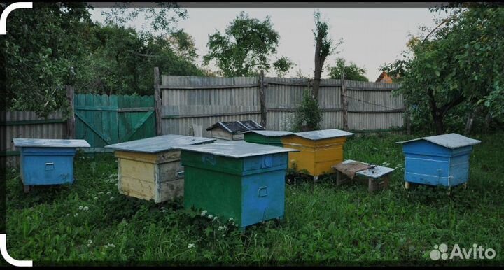Продам ульи для пчел