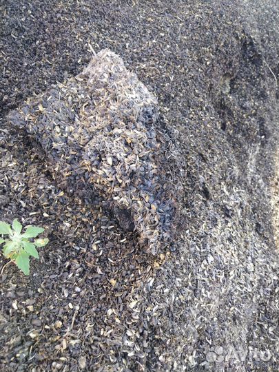 Перегной от лузги подсолнечной