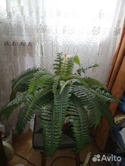 Исскуственные цветы