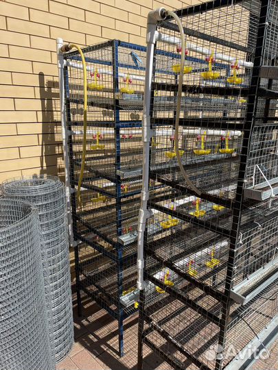 Клетки для перепелов