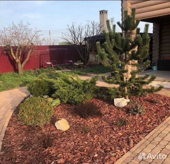 Мульча кора лиственницы