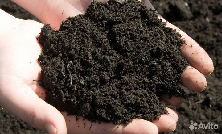 Перегной. Грунт. Торф. Навоз. Компост
