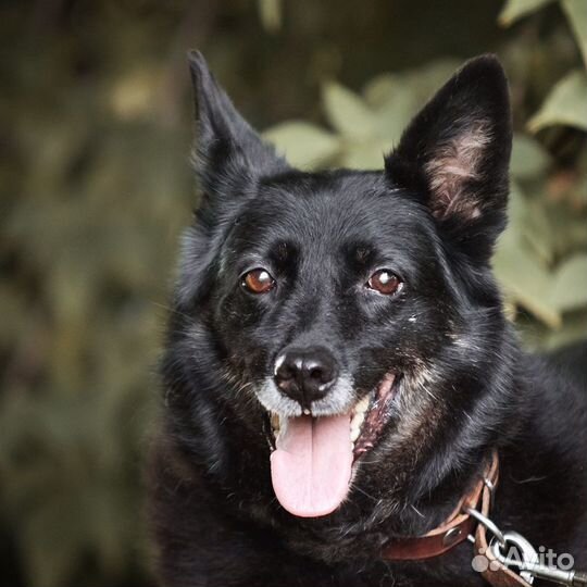 Красавица Рада ждёт хозяина