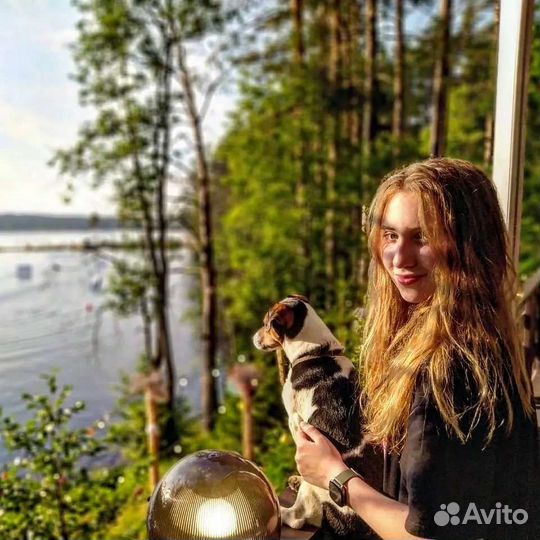 Зооняня, передержка собак, Догситтер, выгул