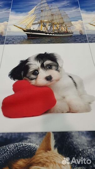 Ткань мебельная велюр