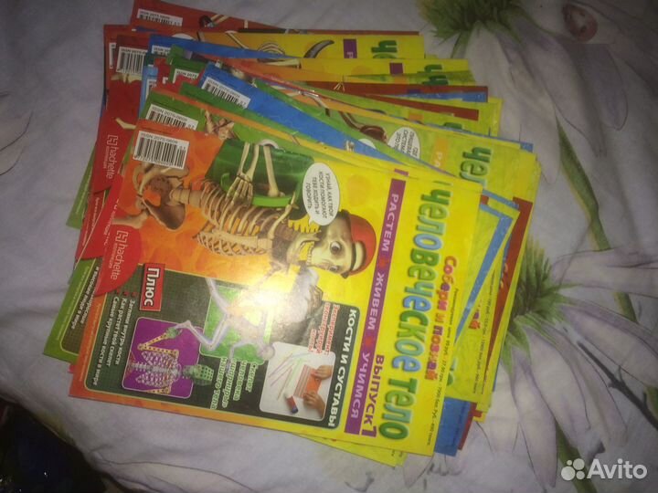 Скелет в сборе, плюс мышцы, плюс журналы