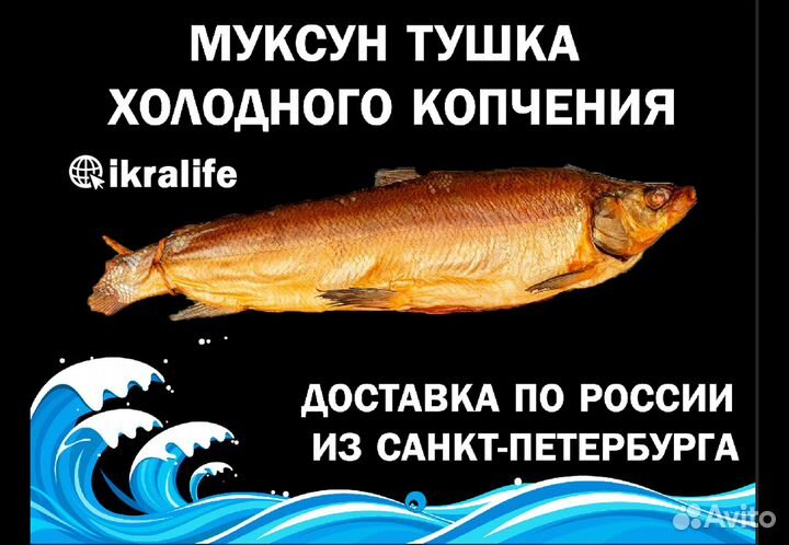 Муксун тушка холодного копчения. сдэк