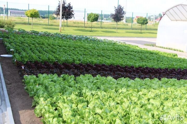 Разнорабочий