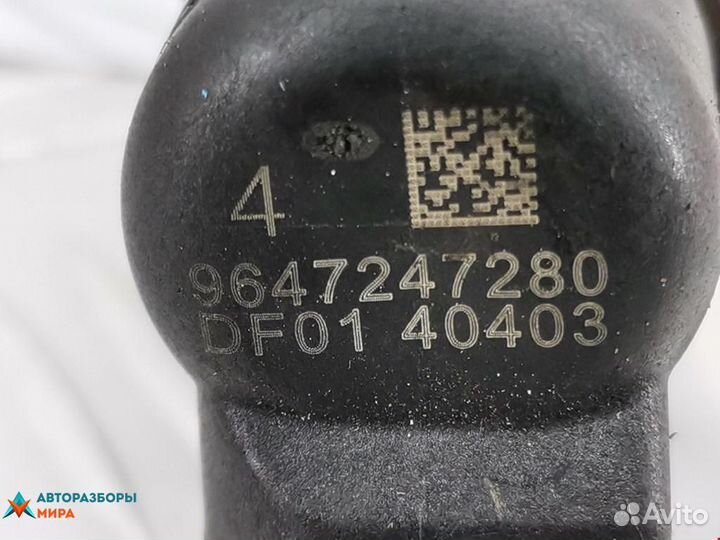 Форсунка Peugeot 407 2004 1980J5