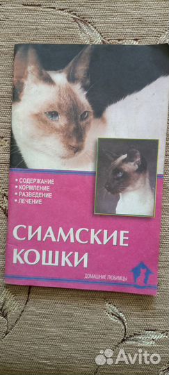 Книги о кошках