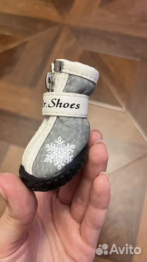 Обувь для маленьких собак