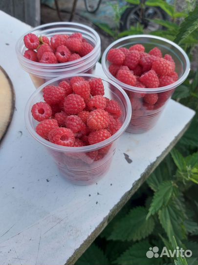 Помидоры, огурцы, малина