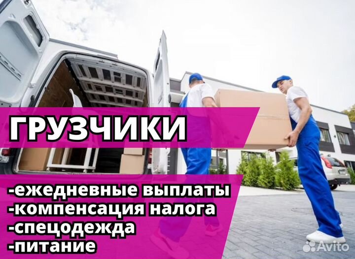 Грузчик ежедневная оплата. Код:rx464