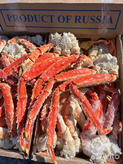 Крабы, раки, клешни