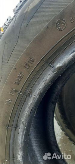 Formula Ice 205/60 R16 96T