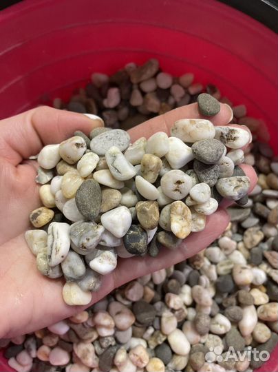 Грунт для аквариума