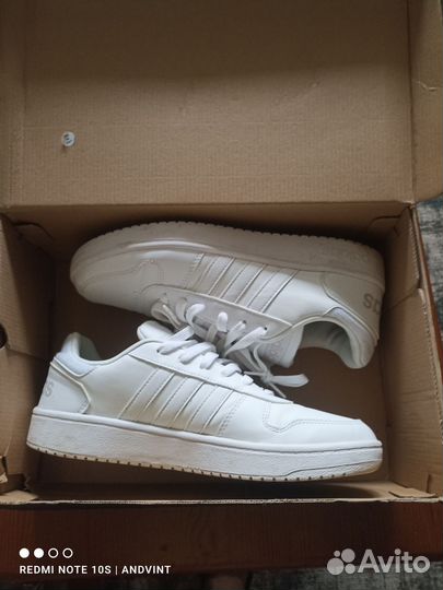 Кроссовки Adidas Hoops(оригинал)