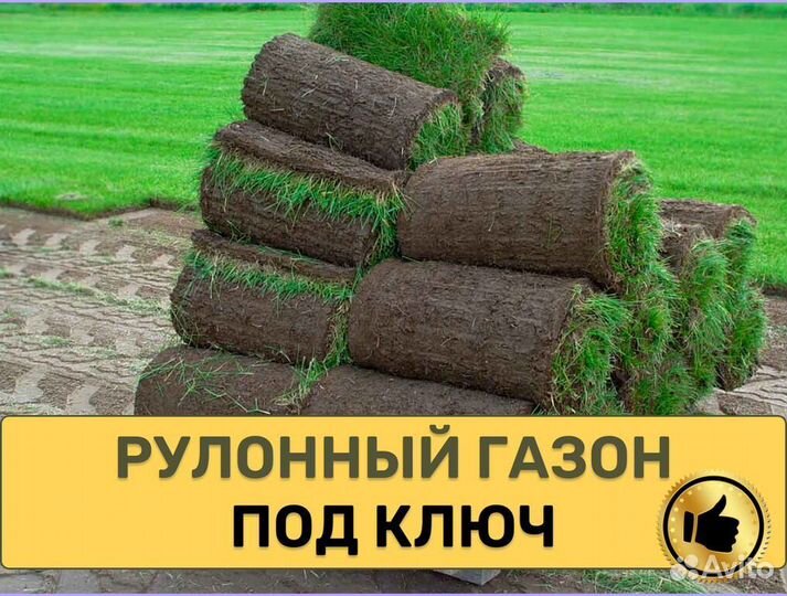 Рулонный газон Элитный от производителя
