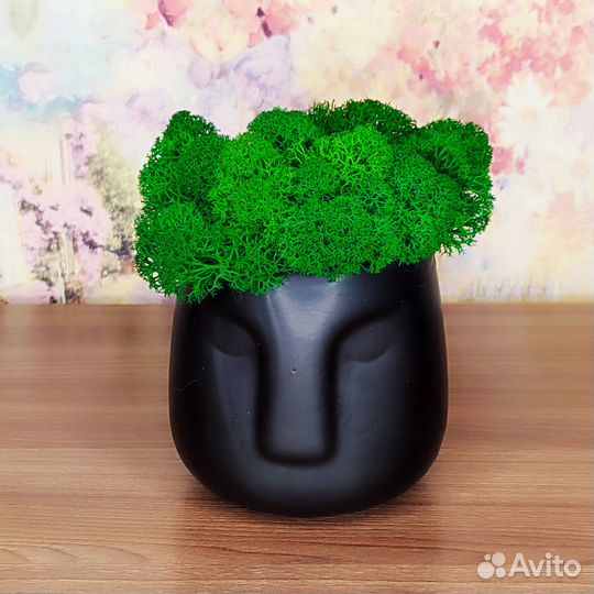 Кашпо со стабилизированным мхом