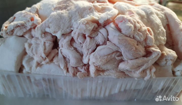 Корма для животных