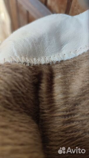 Ботинки демисезонные девочке 34 замша натуральная