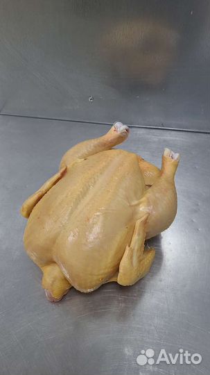 Мясо курица, индейка опт и мелкий опт