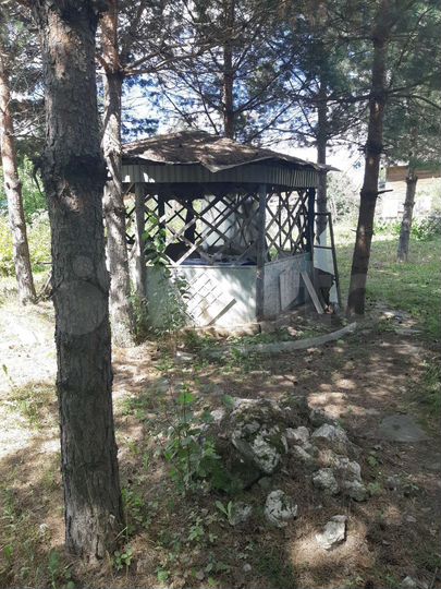 Участок 5,8 сот. (СНТ, ДНП)