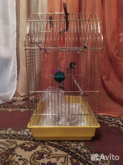 Клетка для попугаев