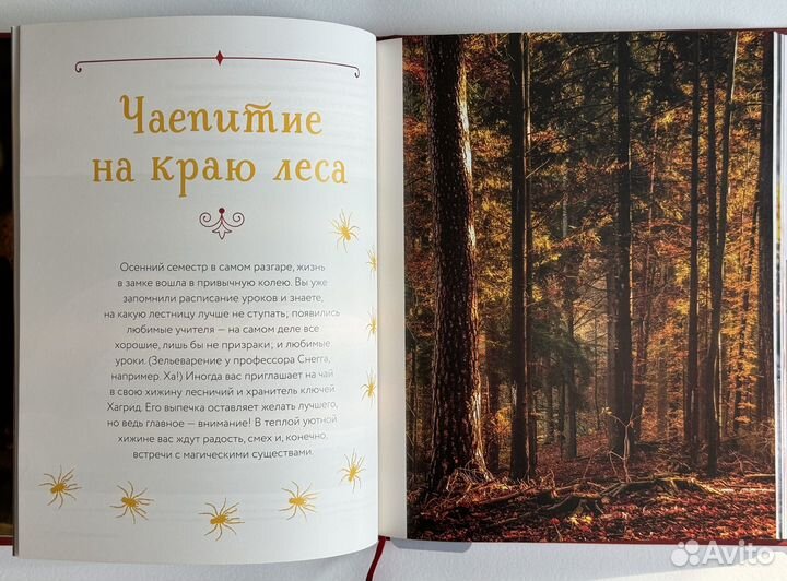 Миф Кулинарная книга Хогвартса (Гарри Поттер)