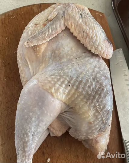 Мясо цесарки