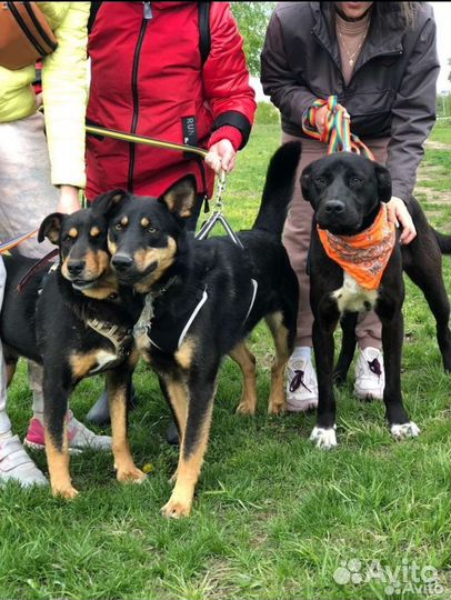 Не вышел внешне, но вышел душой