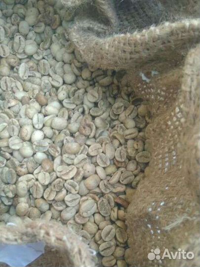 Зеленый кофе, опт. Робуста и арабика Вьетнам