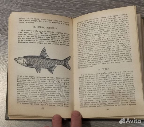 Записки ружейного охотника Оренбургской губернии
