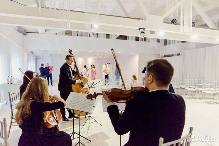 Музыканты на свадьбу, скрипач на свадьбу