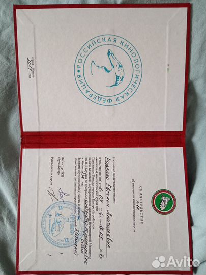 Кинолог зоопсихолог инструктор по дрессировке