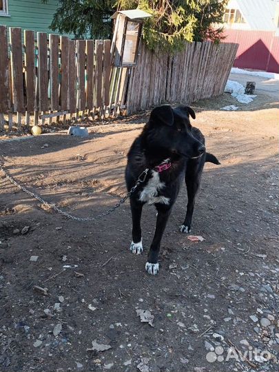 Молодой мальчик в добрые руки