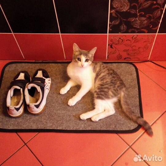 Коврик с подогревом для животных растений саженцев